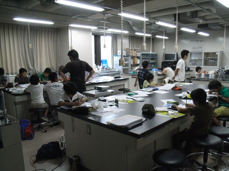 大学をどのように整理するか_c0025115_2182389.jpg