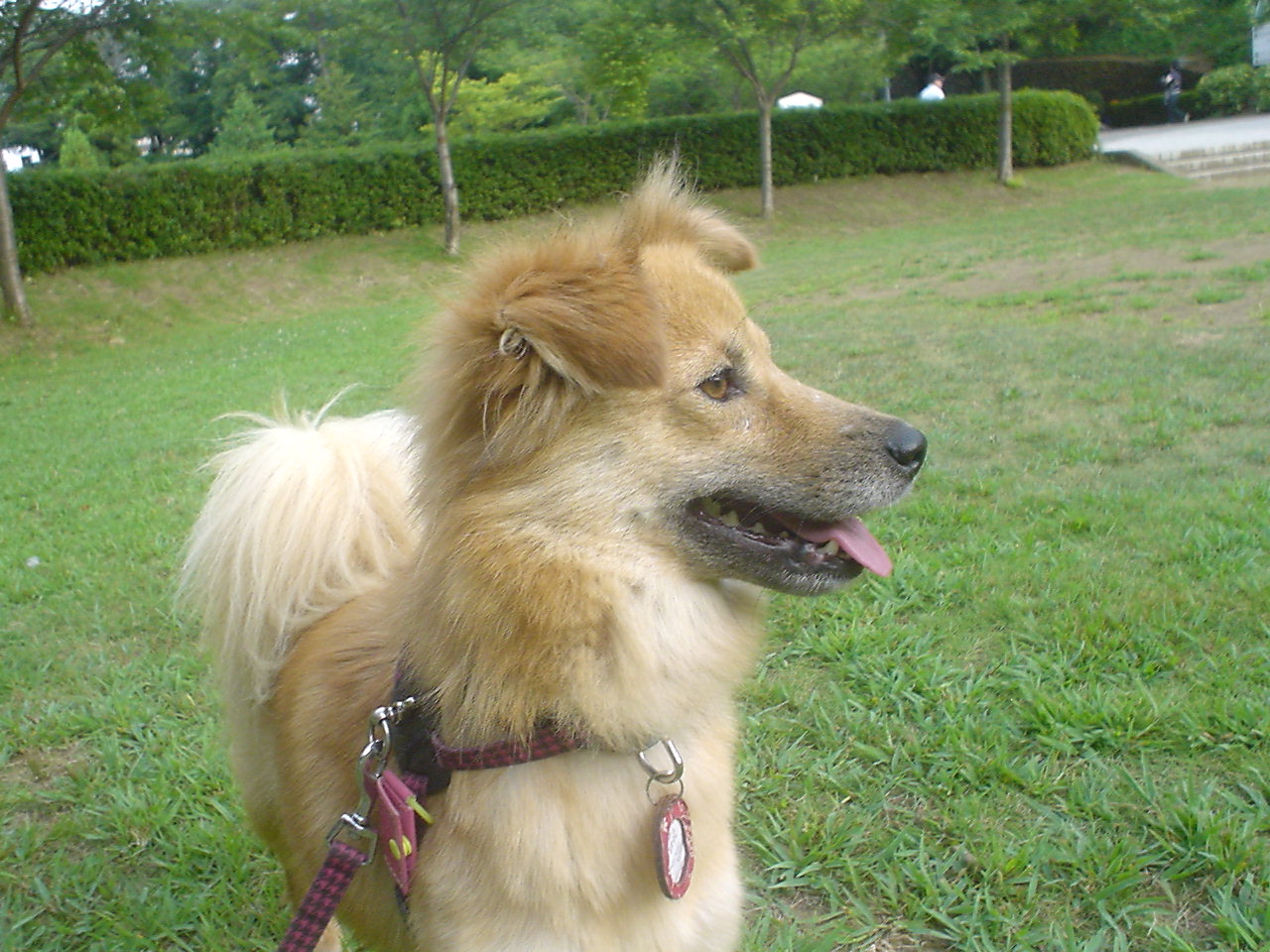 c0150520_22444594.jpg
