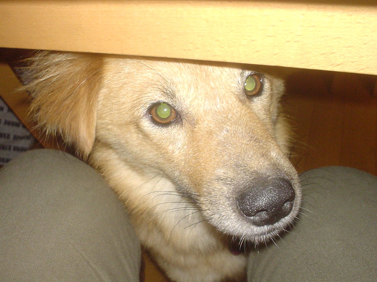 c0150520_22451518.jpg