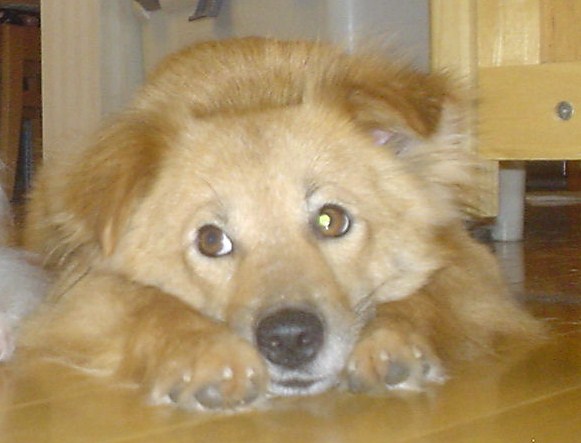 c0150520_237592.jpg