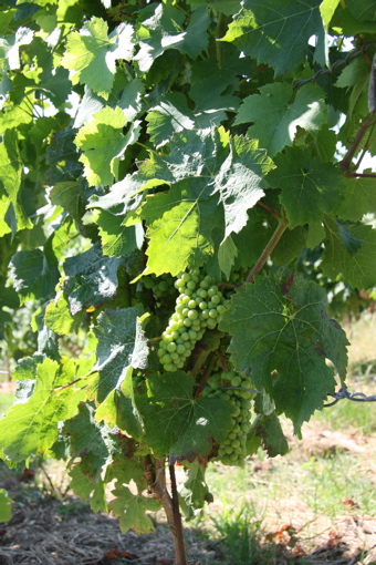 f0034948_83033.jpg