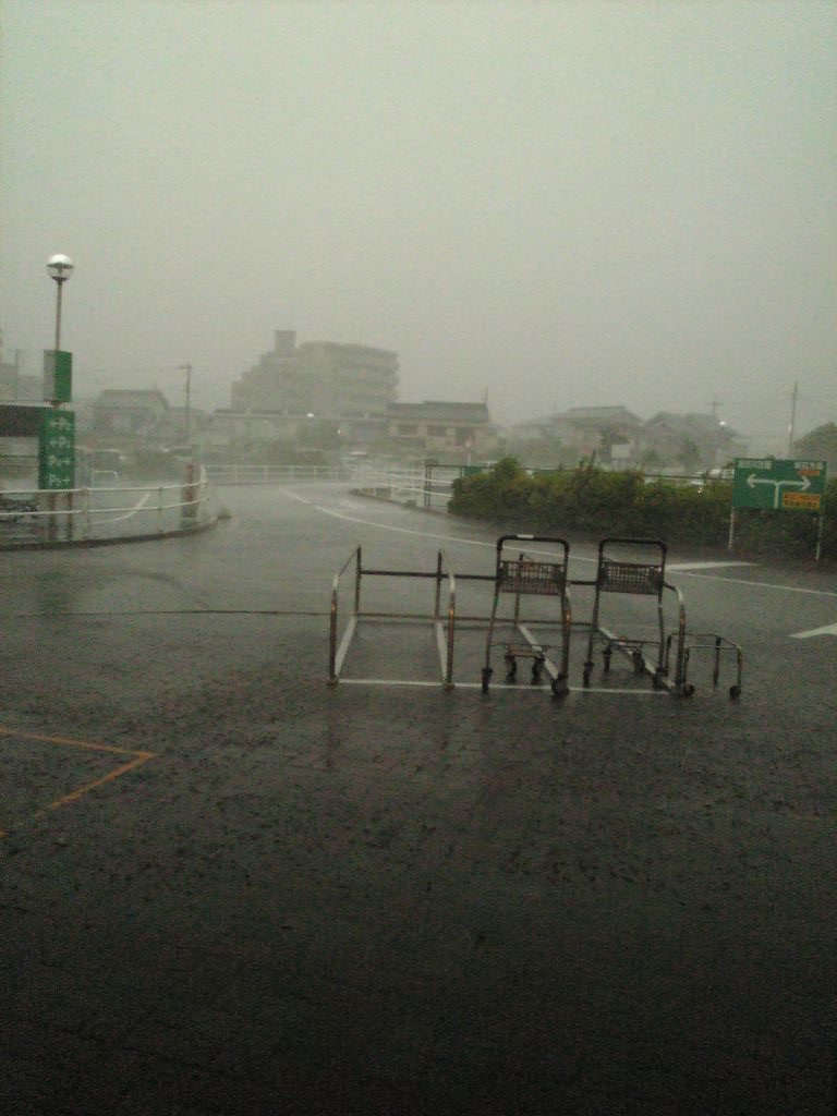 d0088952_03842.jpg