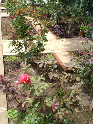 a0094959_3212449.jpg