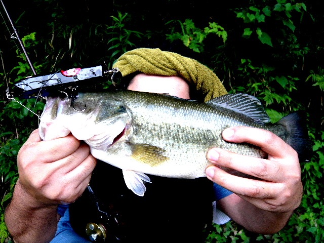 f0098161_215340100.jpg