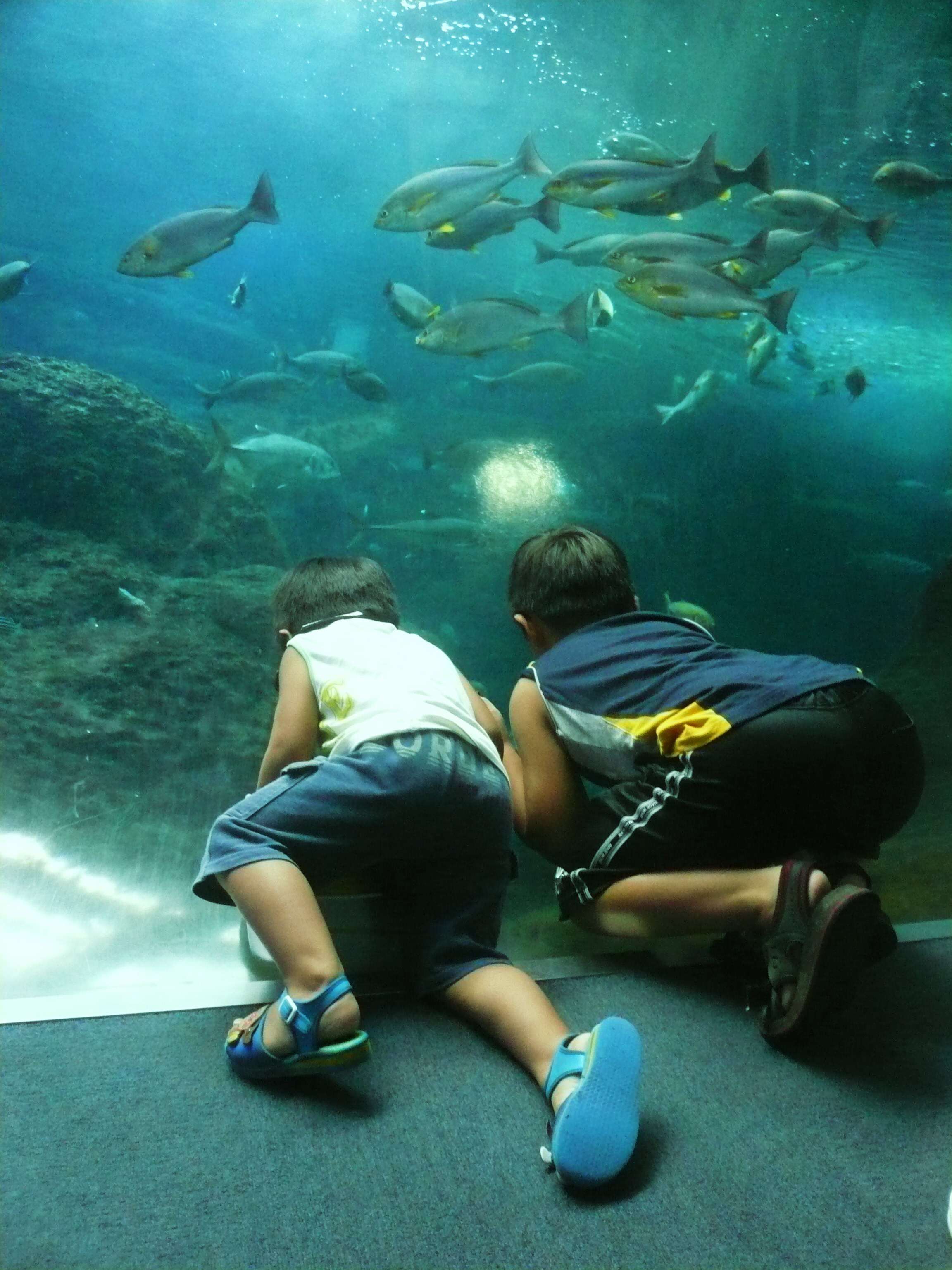 新江ノ島水族館_b0151371_22125363.jpg