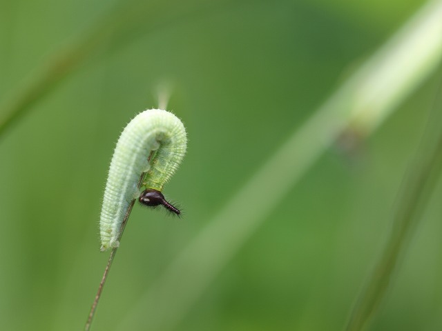 b0135573_19314839.jpg