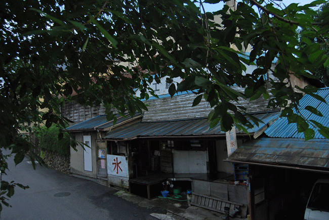 懐かしい夏 日々の風景 猫とか