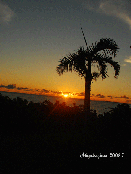 2008. 南の島の熱い風　Sun set_f0032481_10411370.gif