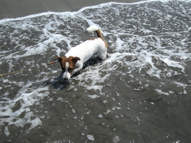 f0166084_0243129.jpg