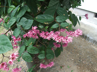 e0028387_08928.jpg
