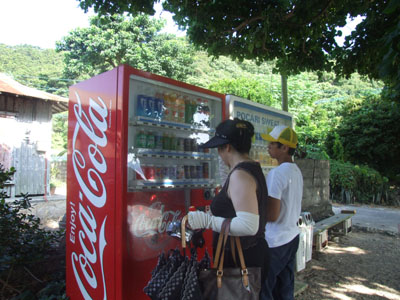 宇検からようこそ!_e0028387_2240599.jpg