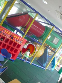 夏休みの朝マックと・・・ゴーヤチャンプルー。_f0177295_15232967.jpg