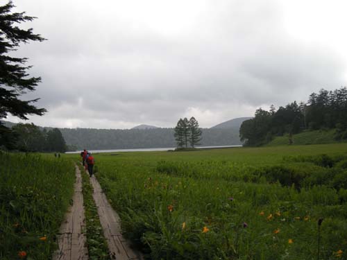 d0080118_15411.jpg