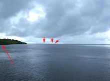 ミクロネシア諸島自然体験‐2008年少年少女自然体験交流-海辺の活動_a0043520_9451181.jpg