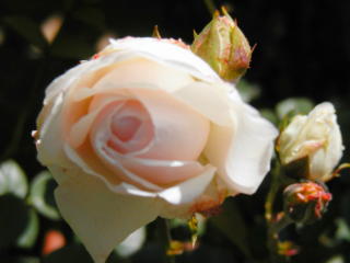 e0128024_9145819.jpg