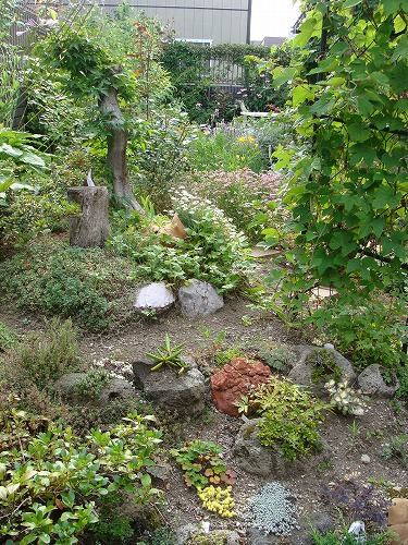 f0170524_1647732.jpg