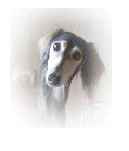 d0016727_13303390.gif
