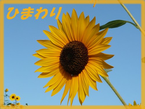c0009528_23352598.jpg