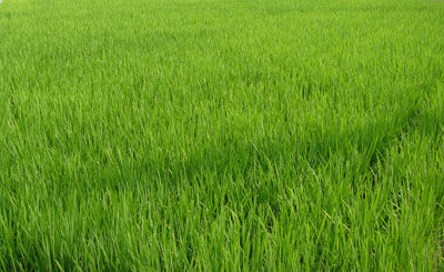 f0028928_13771.jpg