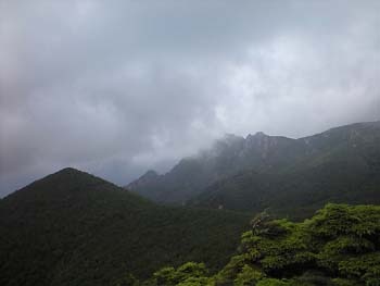 d0107938_23423263.jpg