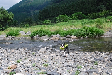 e0126046_2310191.jpg