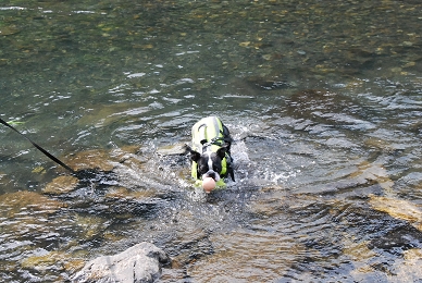 e0126046_23361240.jpg