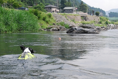 e0126046_2340357.jpg