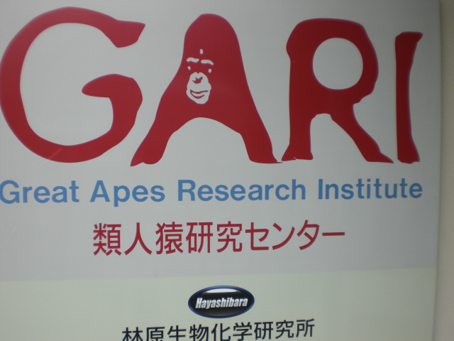 b0152548_12112725.jpg