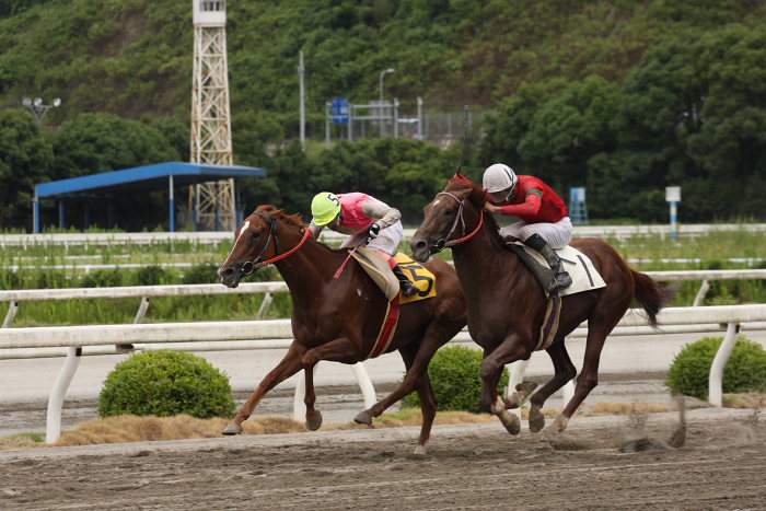 2008年7月26日（土） 高知競馬 5R_a0077663_18365027.jpg