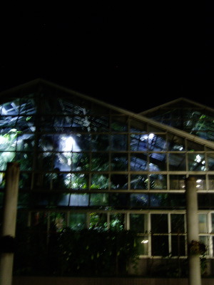 夜の植物園。_d0066677_22465214.jpg