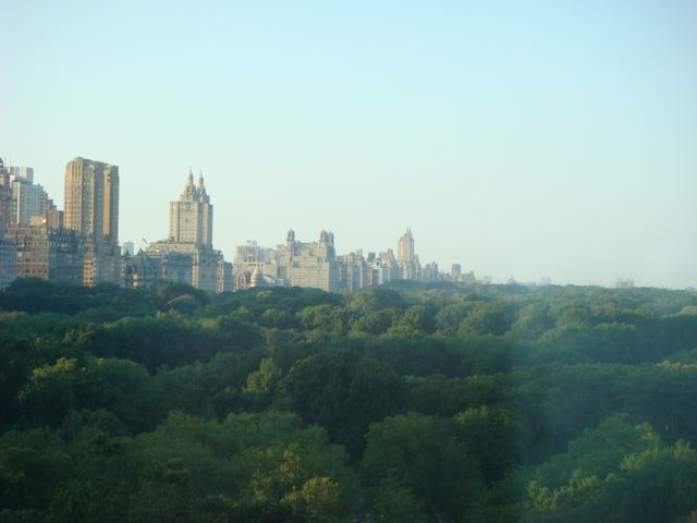 d0100880_20343480.jpg