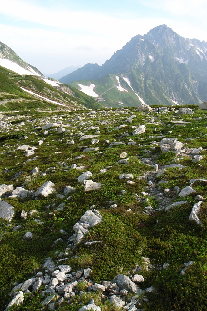 e0039180_1342255.jpg