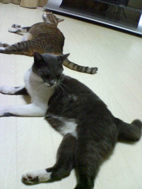 f0077595_16202838.jpg
