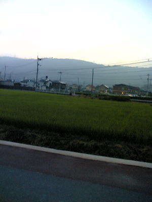 b0151496_13333491.jpg