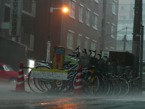 f0146198_97191.jpg