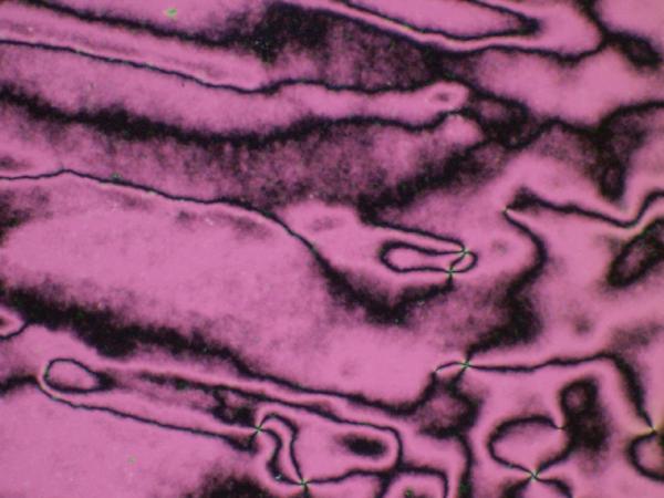 c0164709_7102185.jpg