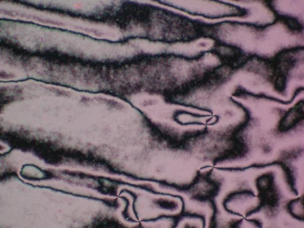 c0164709_712118.jpg