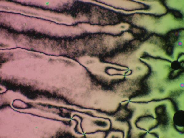 c0164709_753587.jpg