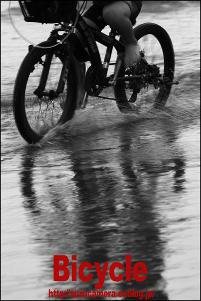 Bicycle_f0100215_1105119.jpg