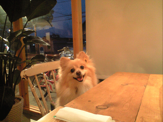 b0075318_14581783.gif