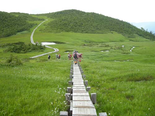 d0080118_17193669.jpg
