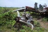 ミクロネシア諸島自然体験‐2008年少年少女自然体験交流-現地州政府はツアー・オペレーターか?_a0043520_1656189.jpg