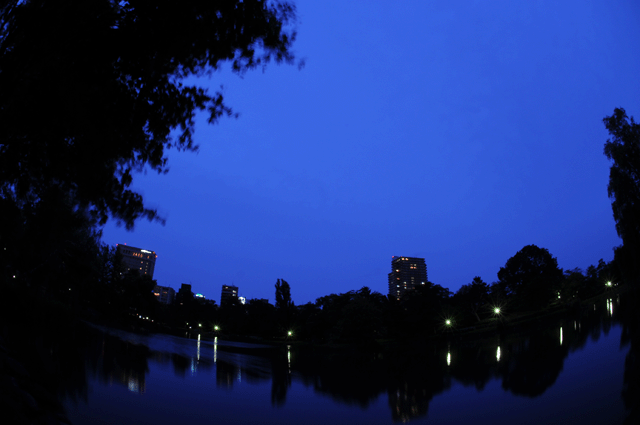 d0019422_1325975.gif