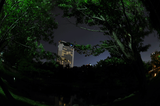 d0019422_1332687.gif