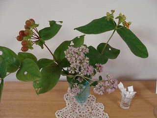 f0170524_1548488.jpg