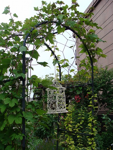 f0170524_1675775.jpg