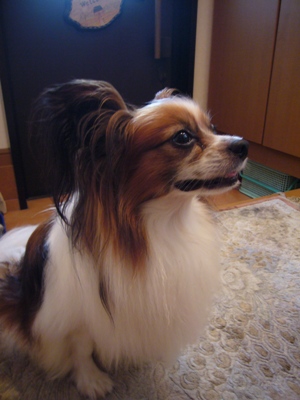 e0100046_22403468.jpg
