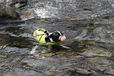 e0126046_092563.jpg