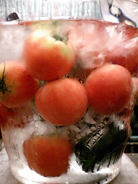 e0106851_174997.jpg