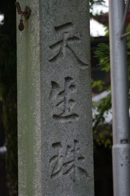 d0141365_5505026.jpg
